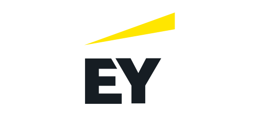 Ernst & Young (EY) corporate training client